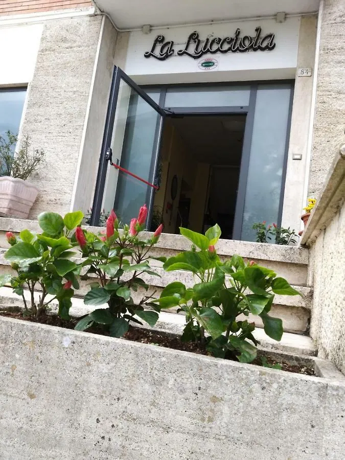 Hotel La Lucciola Chianciano Terme